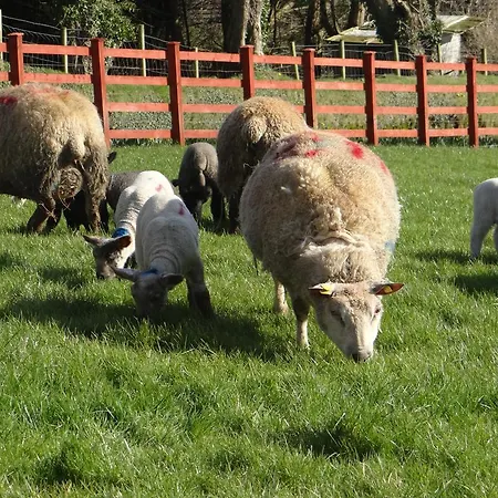 Rossmore Farmhouse Bed & Breakfast